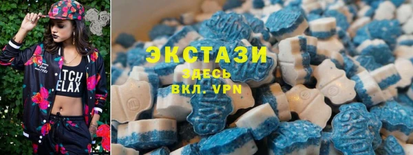 PSILOCYBIN Дмитриев