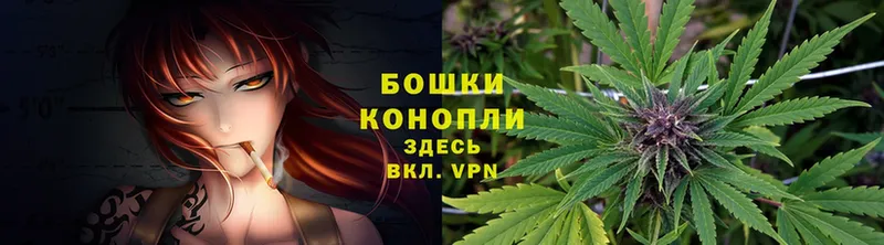 Марихуана Amnesia  Лесозаводск 